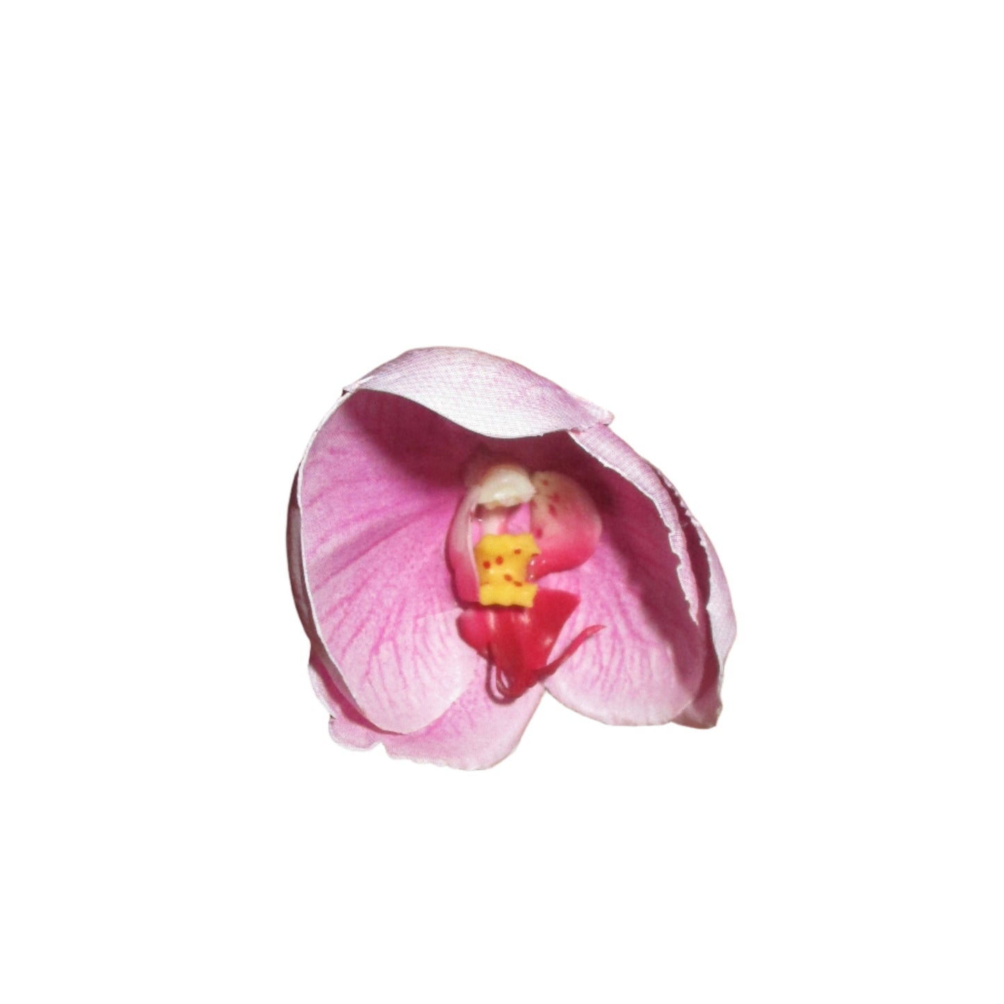 Baby Bloom Set (2) in Pink