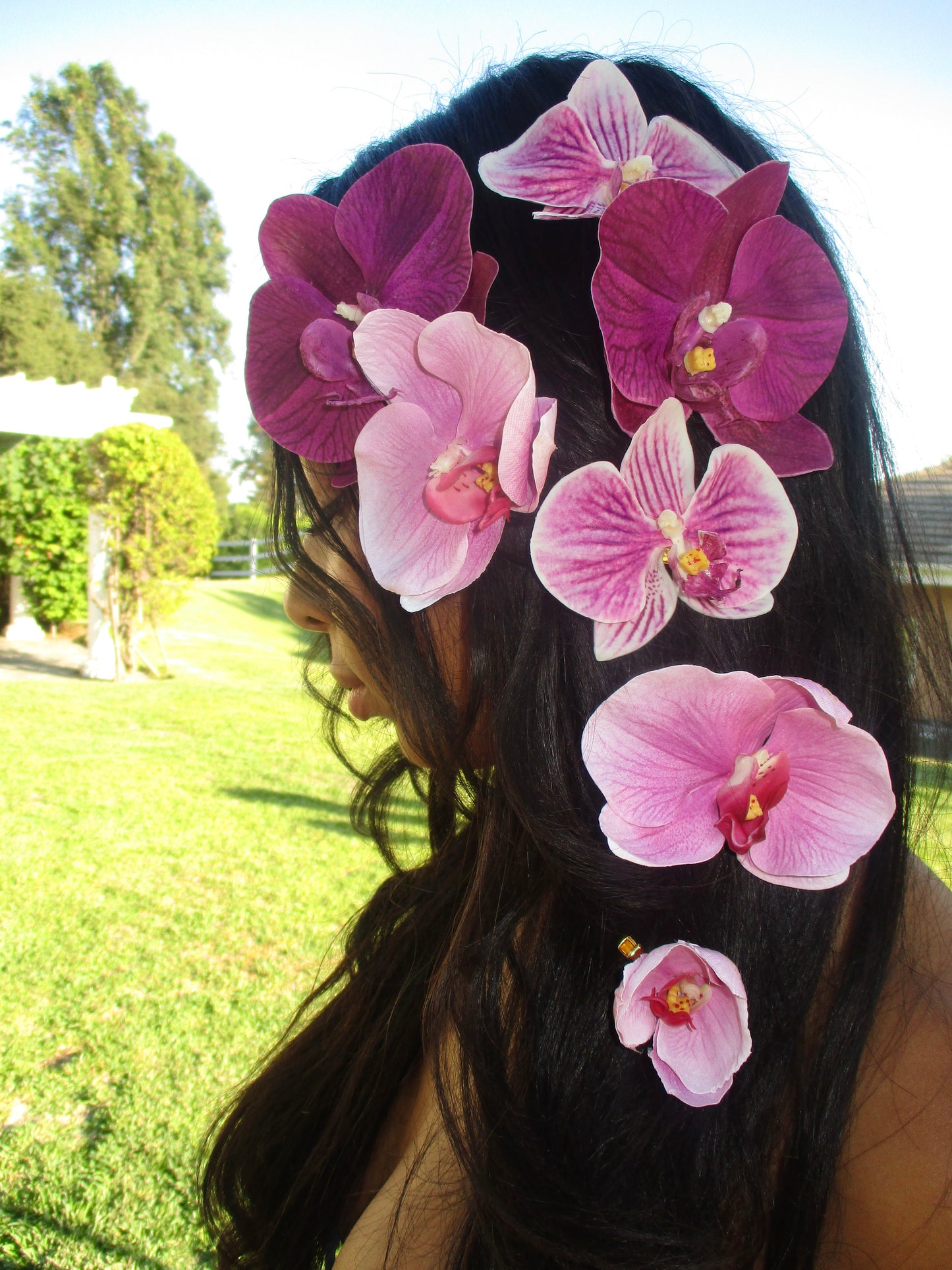 Orchid Clip in Classic Pink
