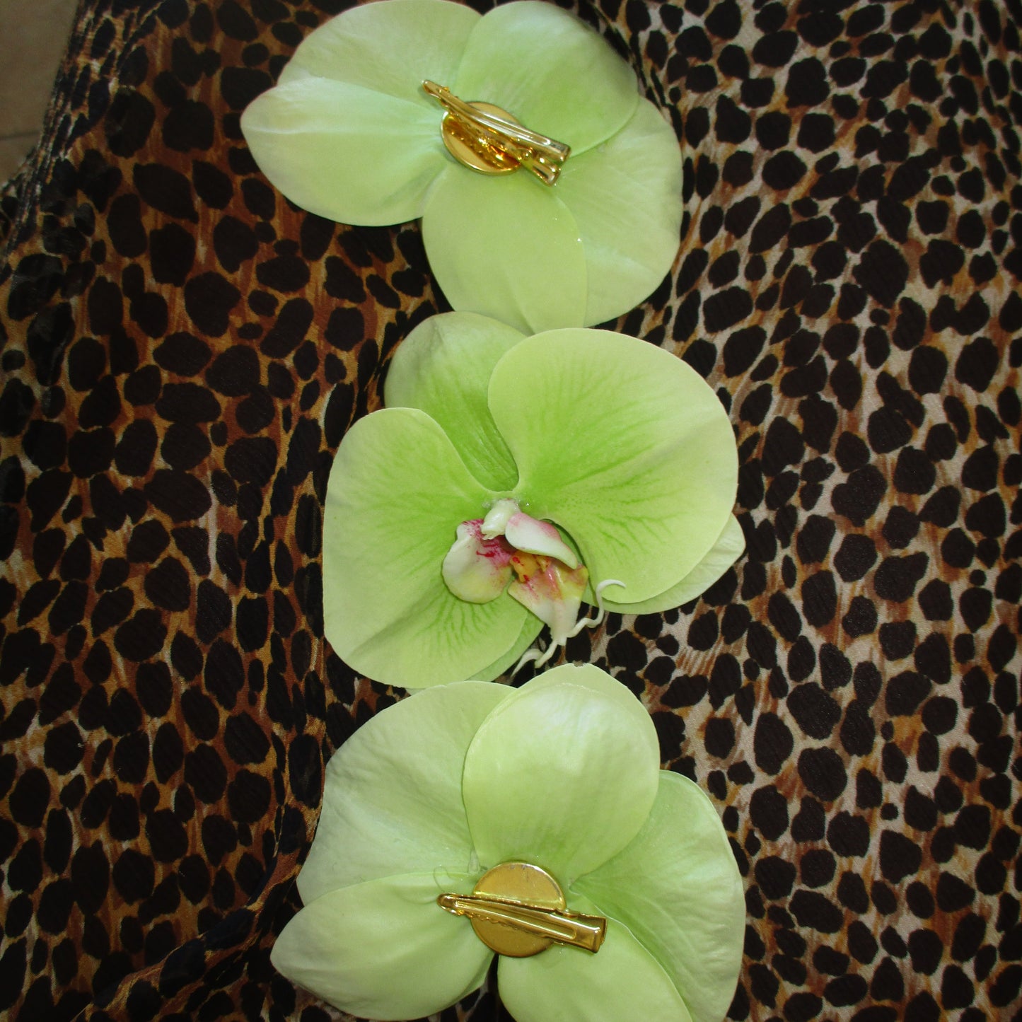Light green orchid hair clip on a leopard print background