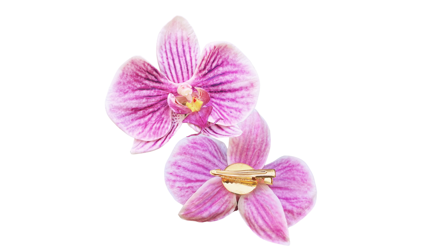 Petite Orchid Clip in Zebra