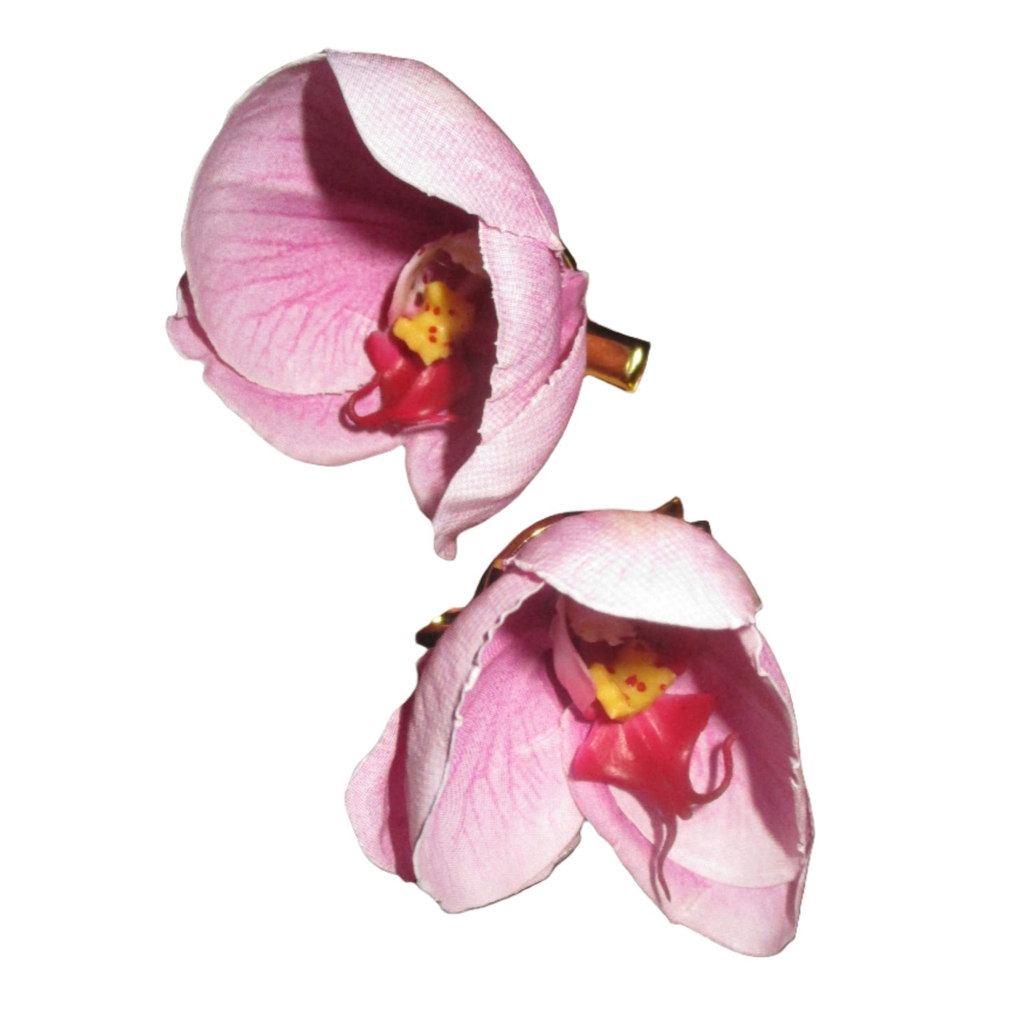 Baby Bloom Set (2) in Pink