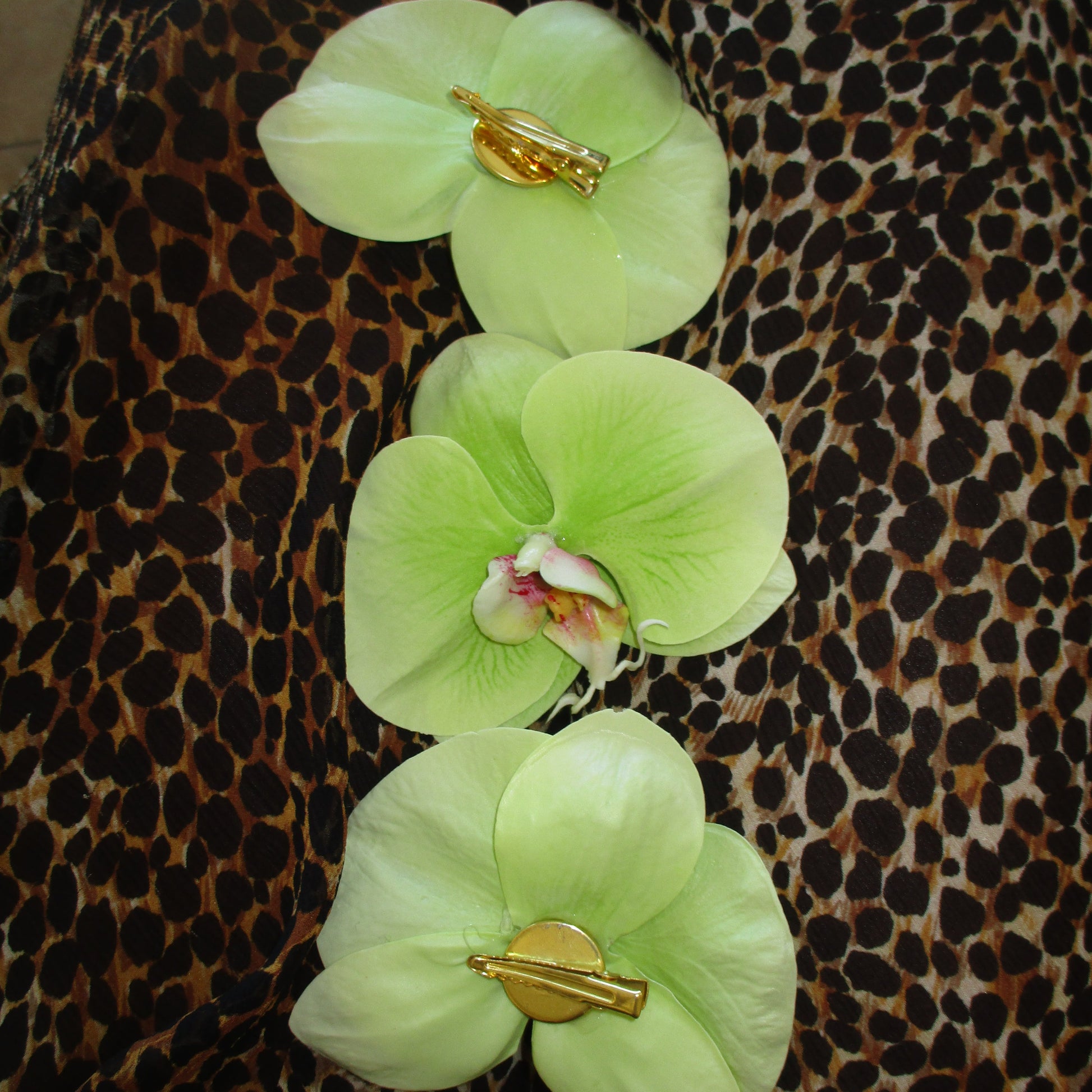 Light green orchid hair clip on a leopard print background